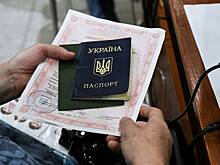 Названо число дошедших пешком до России украинцев