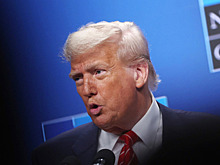 Заявление Трампа по Украине вызвало недоумение в Германии