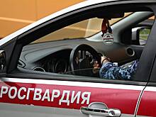 Россиянин учинил кровавую месть затопившим его соседям