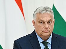 На Украине обратились с требованием к премьеру Венгрии