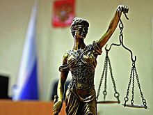 Иноагенту Трояновой грозят штрафы до 100 тысяч рублей