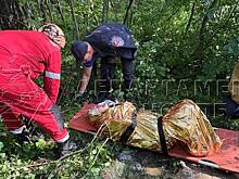 Ушедшего за грибами и пропавшего пенсионера нашли на западе Москвы
