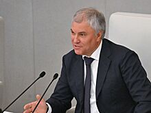 Володин: приезжающие в Россию должны уважать русский язык и культуру