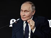 Политолог объяснил отсутствие гарантий безопасности Путина в Бразилии