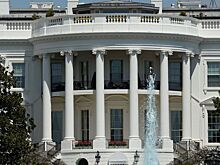 СМИ: Глава минфина США напал на Илона Маска в Белом…
