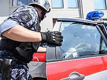 Раскрыты личности напавших на полицейских мигрантов в российском регионе