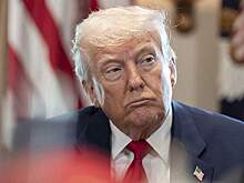 Европейские лидеры захотели поговорить с Трампом до его звонка Путину
