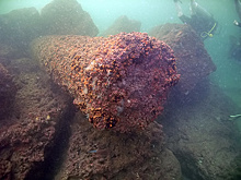 Со дна Средиземного моря подняли фрагменты одного из чудес света