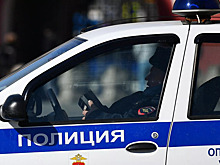 Мошенники обманули москвичку, купившую Лабубу на 300 тысяч рублей