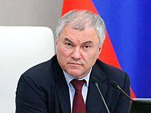Володин назвал Зеленского «просроченным обмылком»