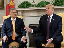 Трамп спросил Орбана, почему он мешает вступлению Украины в ЕС