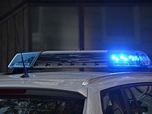 Мужчина напал на молящихся в мечети, бросив гранату и устроив…