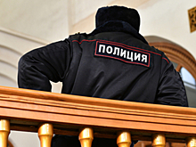 Пенсионерка объяснила, почему толкнула школьницу на рельсы метро в Москве