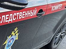 Трое детей погибли после употребления метадона в Череповце