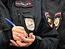 Иностранец пытался похитить девушку в Петербурге