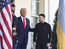 В США назвали неожиданное сходство Зеленского и Трампа
