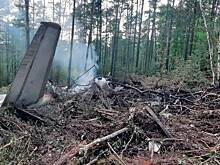 Медведей на месте крушения Ан-24 отпугивают вувузелой