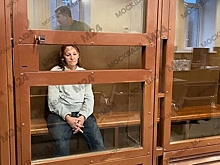 Толкнувшая девочку в метро Москвы женщина заявила, что не нанесла…