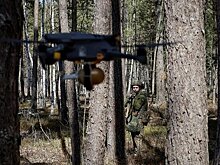 Появились подробности о возможном заходе украинского спецназа в Брянскую область