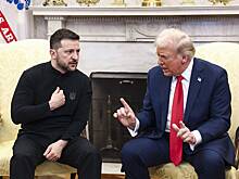 Зеленского уличили в желании обмануть Трампа