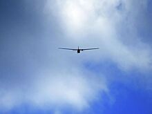 В Госдуме обратились с призывом к россиянам из-за атаки БПЛА…