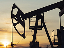 Российские «Герани» вывели из строя крупнейший в Европе нефтеперерабатывающий завод