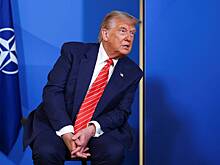Трамп описал Зеленского двумя словами