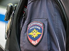 Жители Домодедово рассказали, что напавший на девочек с молотком собрал…