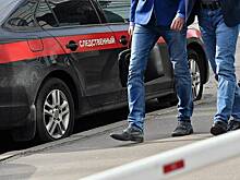 Восстановлена картина суицида экс-министра транспорта Старовойта