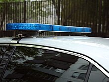 В Подмосковье мигрант задавил трактором подростка и выбросил труп в…
