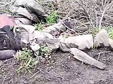 Минобороны показало гниющие под открытым небом тела солдат ВСУ в…