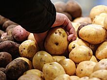 У Германии возникли проблемы с картофелем после шуток про Россию