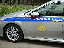 На подмосковном кладбище найдены трупы загадочно пропавших отца и сына