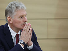 В Кремле высказались о реакции Путина на меморандум Украины