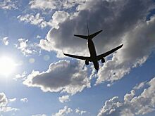 Раскрыты подробности крушения самолета в Индии